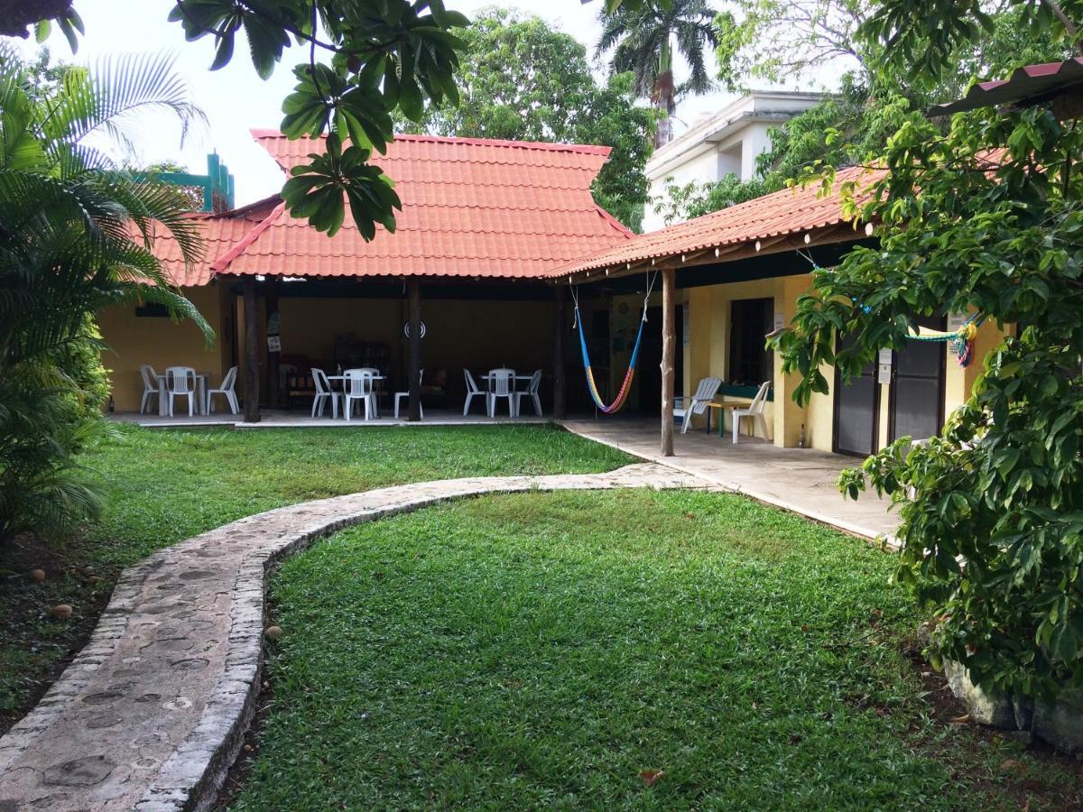 Amigos Hostel Cozumel Exterior photo