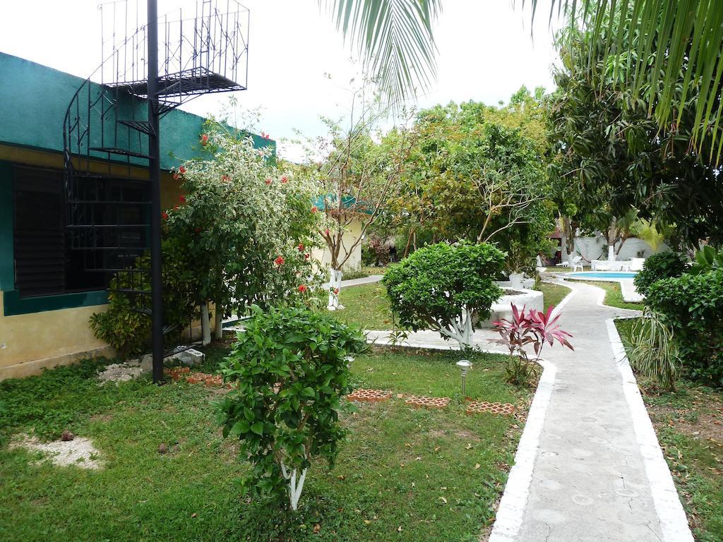 Amigos Hostel Cozumel Exterior photo