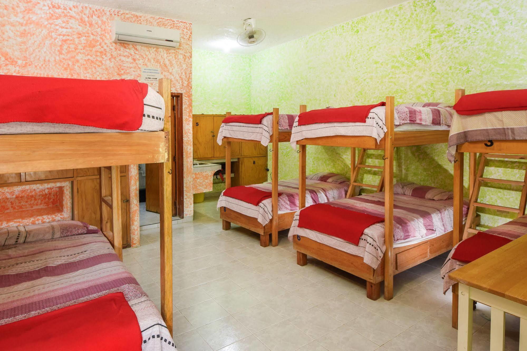 Amigos Hostel Cozumel Hostel Beds photo