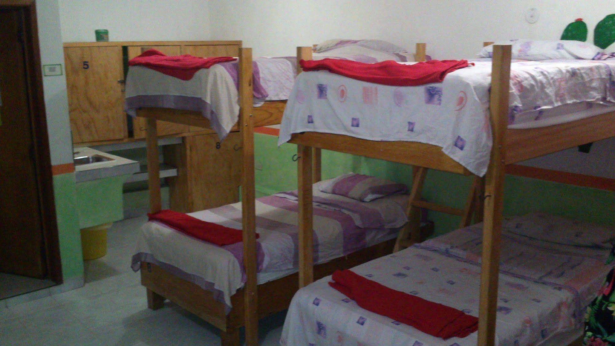 Amigos Hostel Cozumel Hostel Beds photo